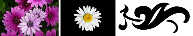 If you want to trace an outline of the the flower, the left-most image is not suitable. The middle one is slightly more suitable, but go for the right-most image
