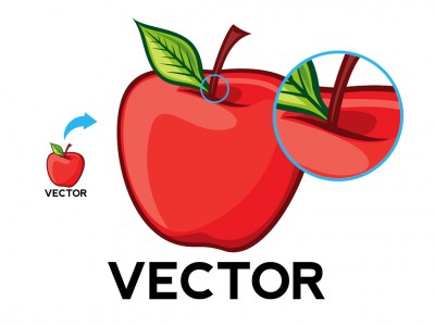Vector image example