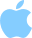 apple icon