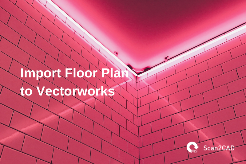 import floor plan to vectorworks, red pink graphics