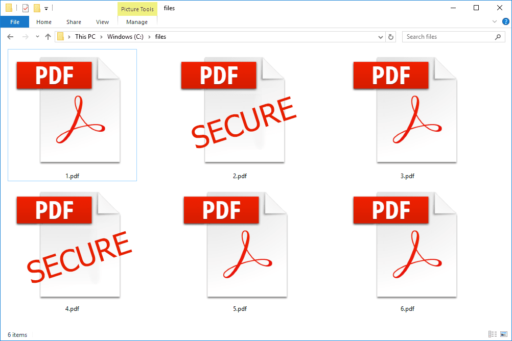 the PDF file type