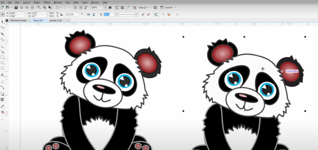 Viewing raster and vector image in CorelDraw